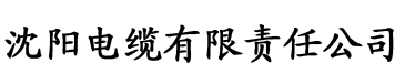 八戒星空影院电缆厂logo